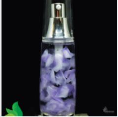 African purple chrysanthemum