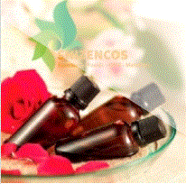 Cherry blossom essence