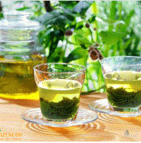 Green tea essential oil