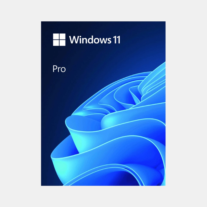 Win Pro 11 program
