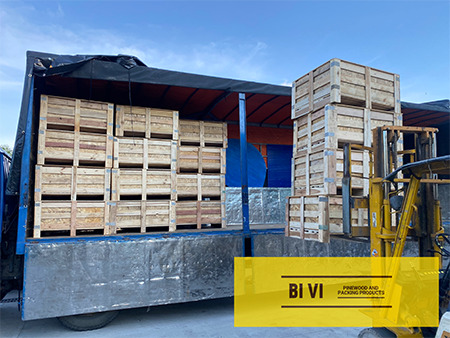 Bi Vi delivery