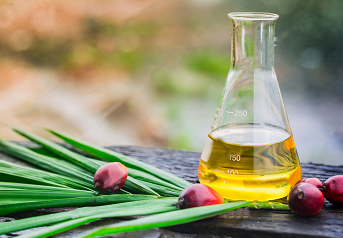Palm oil