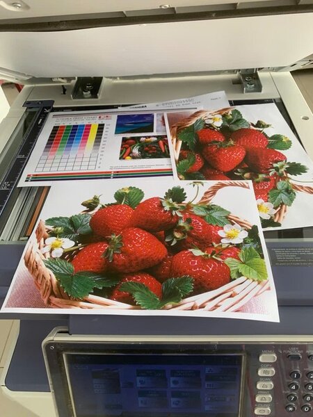 Phu Ngoc Khang photocopiers