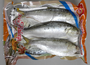 Sardine