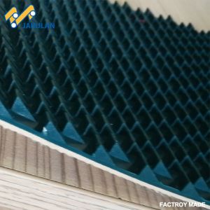 PVC Conveyor belt