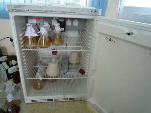 Production process