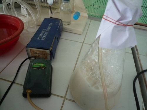 Production process