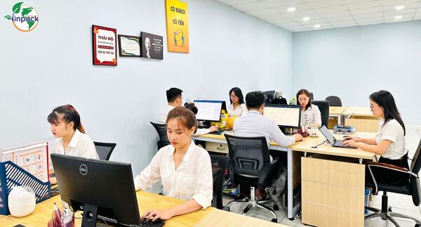 Vinpack Company