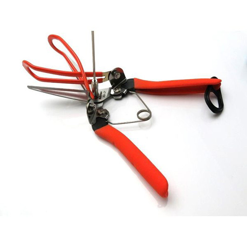 AG-21 vine harvesting shears