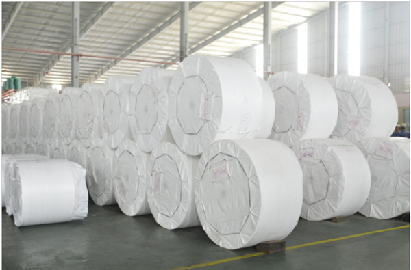 PP Woven Fabric Roll