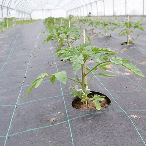 PP Woven Weed Membrane