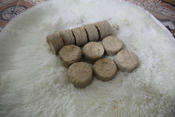 Flywheel-Pressed Rice Husk Briquettes