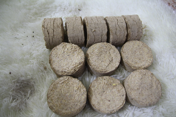 Flywheel-Pressed Rice Husk Briquettes