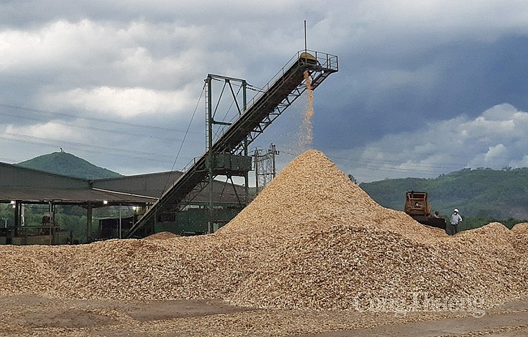 Wood Chip Production