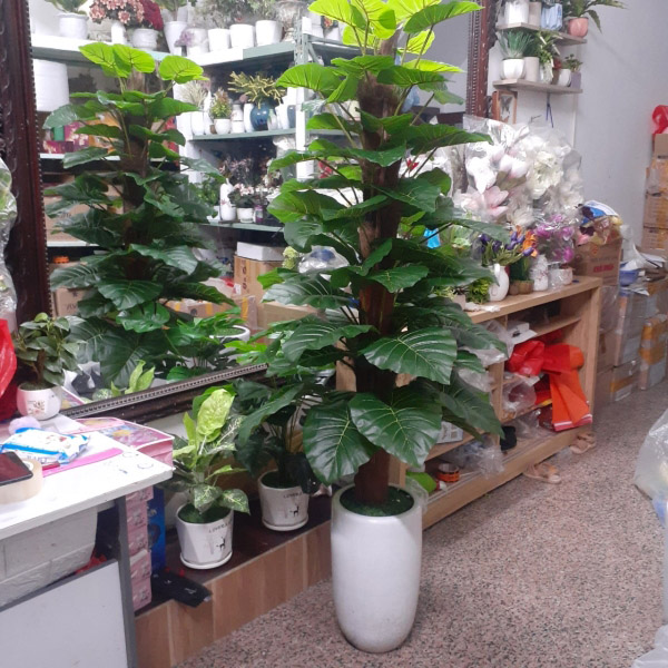 Artificial plant