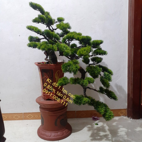 Artificial bonsai