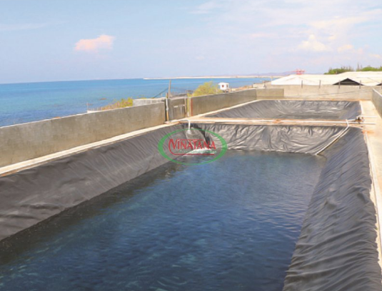 HDPE Waterproofing Membrane