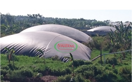 HDPE Waterproofing Membrane