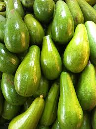 Avocados for Export