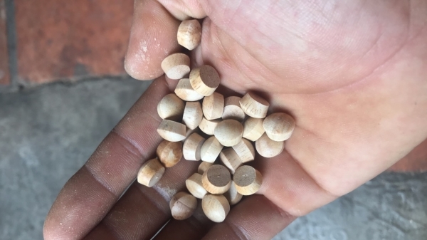 Wooden plugs