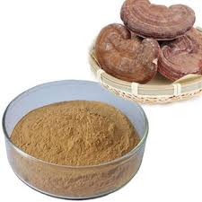 Organic Ganoderma Lucidum Extract