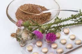 Silymarin From Milk Thistle