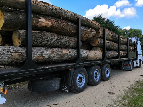 Oak Log
