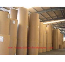 Vietnamese paper roll