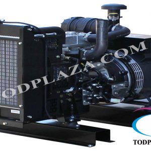 Perkins Generator