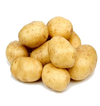 Potato