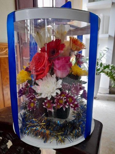 Gift Box