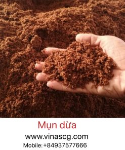 Treated Coco Peat, Coir