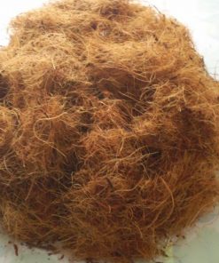 Treated Coco Peat, Coir