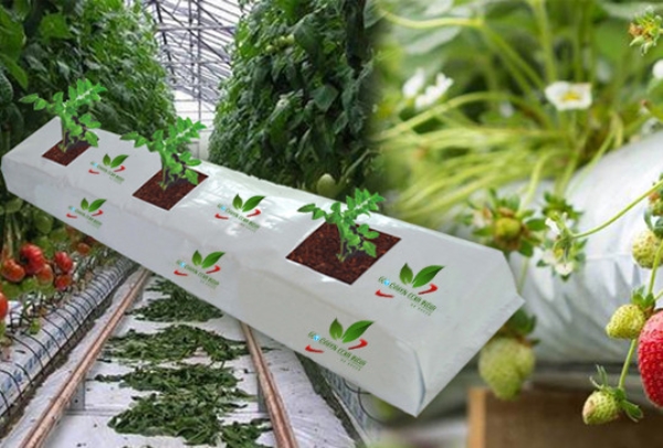 Coconut Fiber Mat