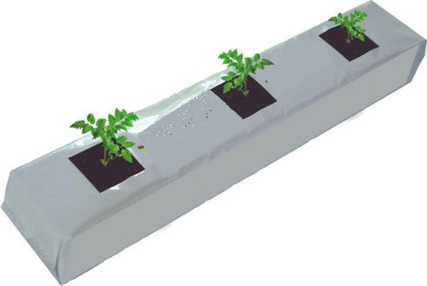 Coconut Peat