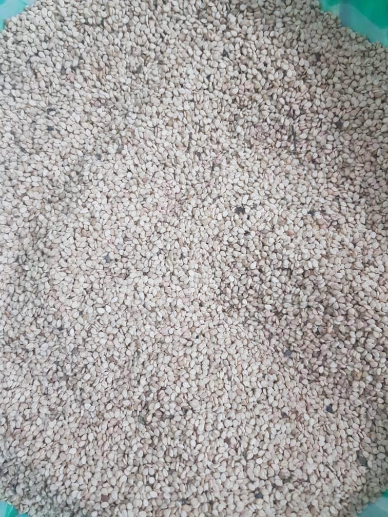 Sesame seeds
