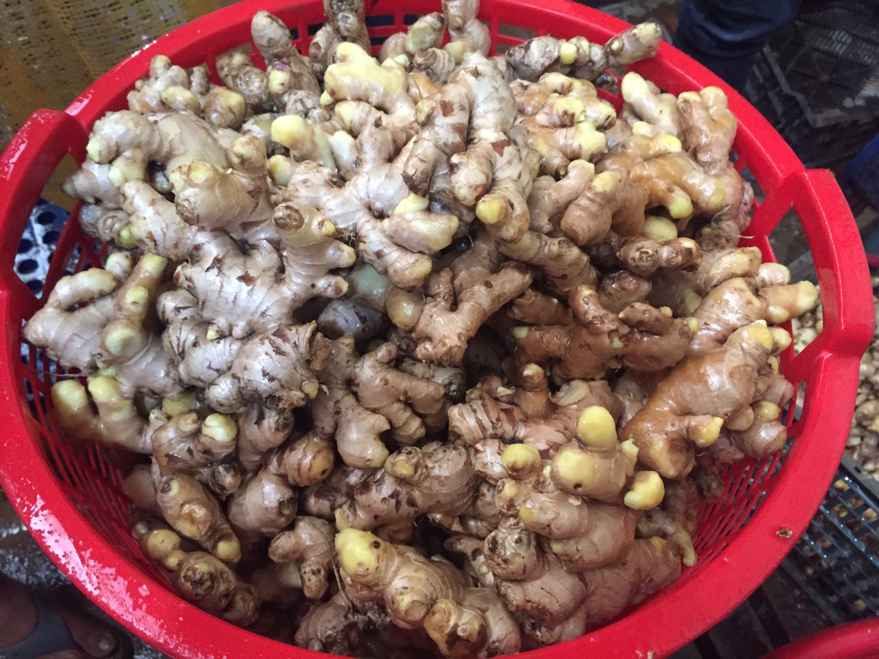 Dry ginger