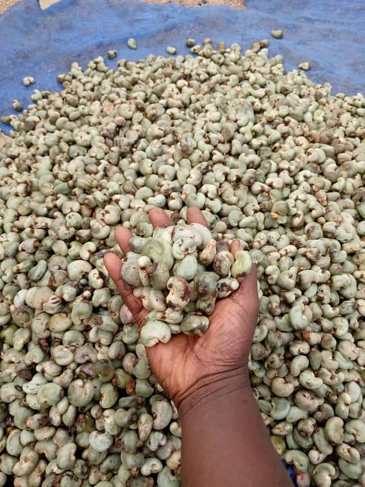 Shea butter