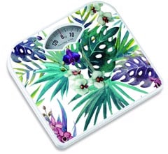 BR2019H160 Weighing scale