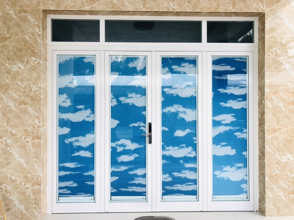Honeycomb shades for door