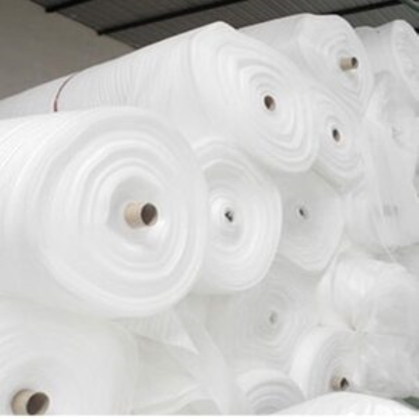 PE Foam