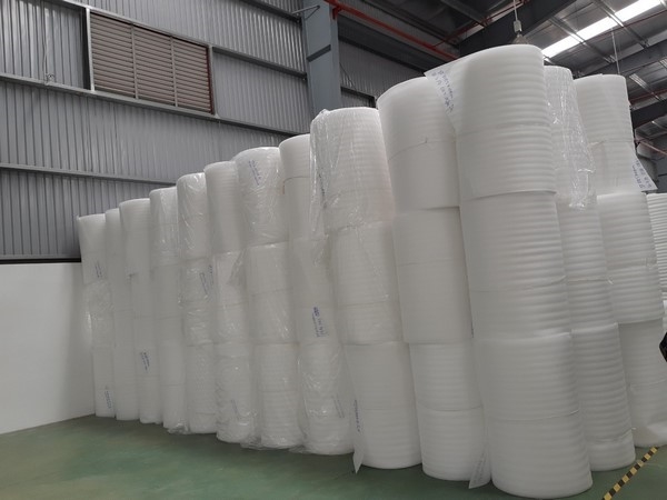 PE Foam