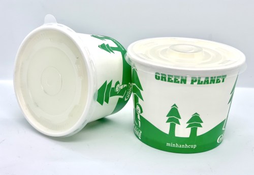 Paper Bowl