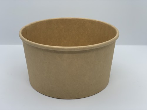 Paper Bowl