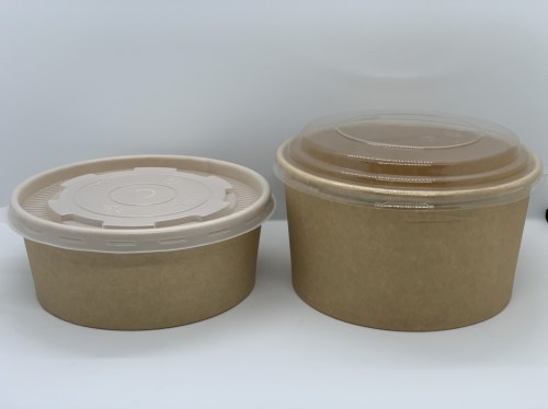Paper Bowl