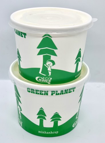 Paper Bowl