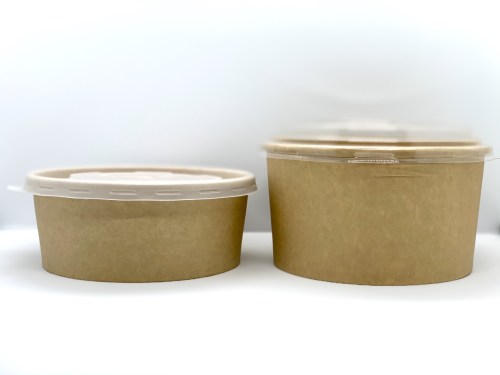 Paper Bowl