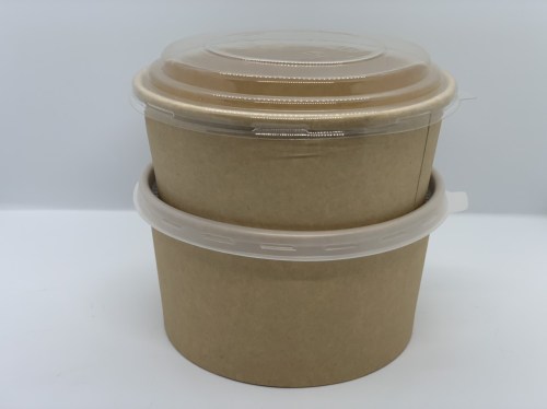 Paper Bowl