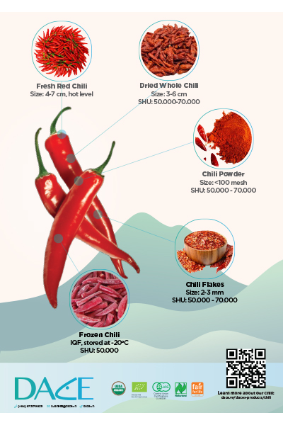 Dace Chili Brochure