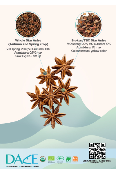 Dace Star Anise Brochure